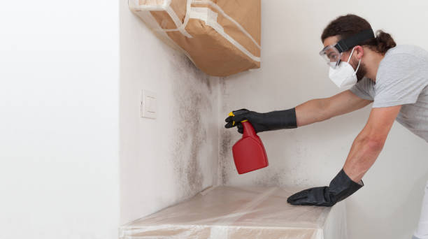 Professional Basement Mold Remediation technician working in New Vernon, NJ