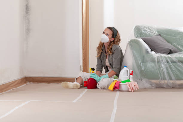 Reliable Basement Mold Remediation contractor in New Vernon, NJ by WQB Mold Removal